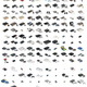 Illustration for article titled 145 Consoles In One Shot
